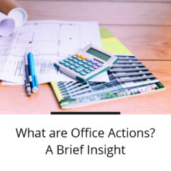 office action response drafters
